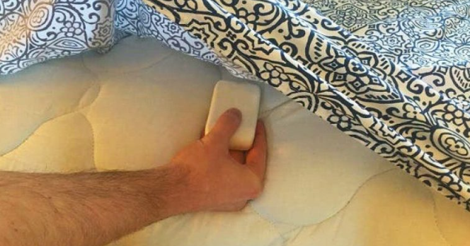 Une astuce de grand-mère pour soulager les crampes grâce à du savon 1 Une astuce de grand-mère pour soulager les crampes grâce à du savon Screenshot 2024 10 23 05.00.13 Une astuce de grand-mère pour soulager les crampes grâce à du savon