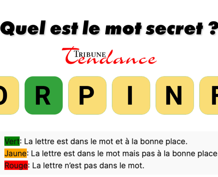 game virale image fripon 2 Seuls les esprits agiles résolvent ce mystère de 6 lettres en moins de 2 minutes