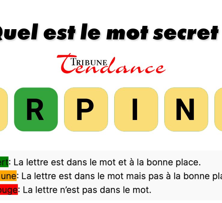 game virale image fripon 2 Seuls les esprits agiles résolvent ce mystère de 6 lettres en moins de 2 minutes