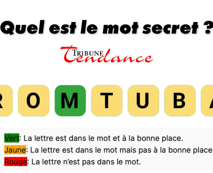 game virale image tambour 3 Déchiffrez ce mot de 7 lettres pour stimuler votre esprit!