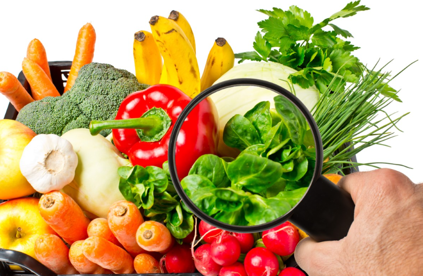 ALERTE : 60 Millions de Consommateurs Met en Garde Contre les Pesticides sur les Pousses de ce Légume 1 ALERTE : 60 Millions de Consommateurs Met en Garde Contre les Pesticides sur les Pousses de ce Légume Capture decran 2024 11 15 111741 ALERTE : 60 Millions de Consommateurs Met en Garde Contre les Pesticides sur les Pousses de ce Légume