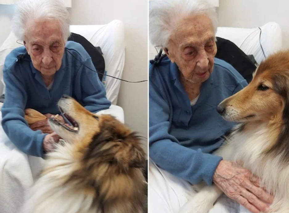 Elle a survécu jusqu'à 117 ans, en consommant un seul et même plat quotidiennement 5 Elle a survécu jusqu'à 117 ans, en consommant un seul et même plat quotidiennement Capture decran 2024 11 15 113211 Elle a survécu jusqu'à 117 ans, en consommant un seul et même plat quotidiennement