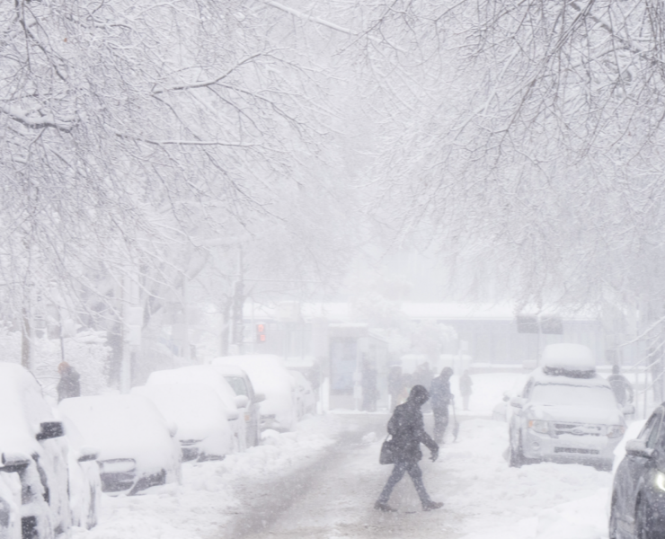 Capture decran 2024 11 23 152901 Les prévisions météo pour l'hiver 2024-2025 sont là, avec un inconvénient majeur