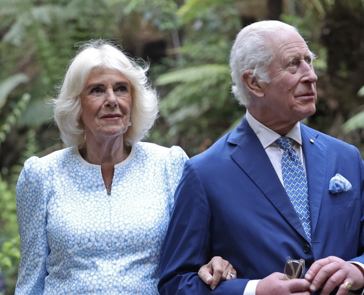 Capture decran le 2024 11 05 a 10.35.50 e1730821004549 La famille royale partage une mauvaise nouvelle au sujet de la Reine Camilla