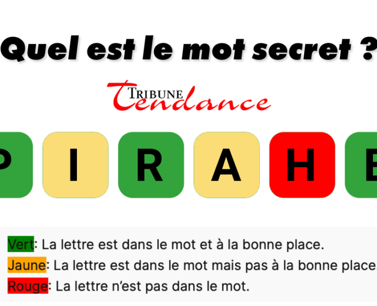 game virale image partie 5 Seuls les esprits agiles résolvent ce mystère de 6 lettres en moins de 2 minutes