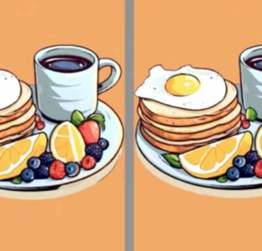 Capture decran 2024 12 16 130753 Seules les personnes ayant une excellente vue pourront trouver les 3 différences entre ces deux images en moins de 11 secondes