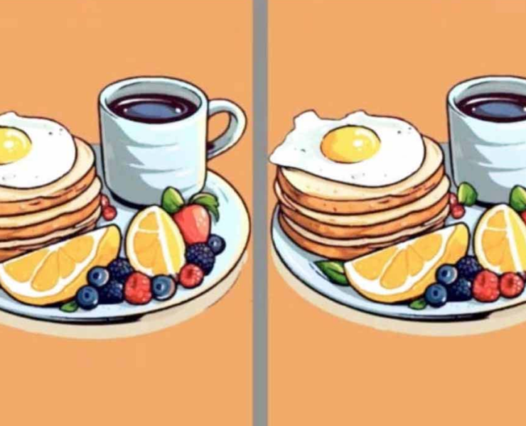 Capture decran 2024 12 16 130753 Seules les personnes ayant une excellente vue pourront trouver les 3 différences entre ces deux images en moins de 11 secondes