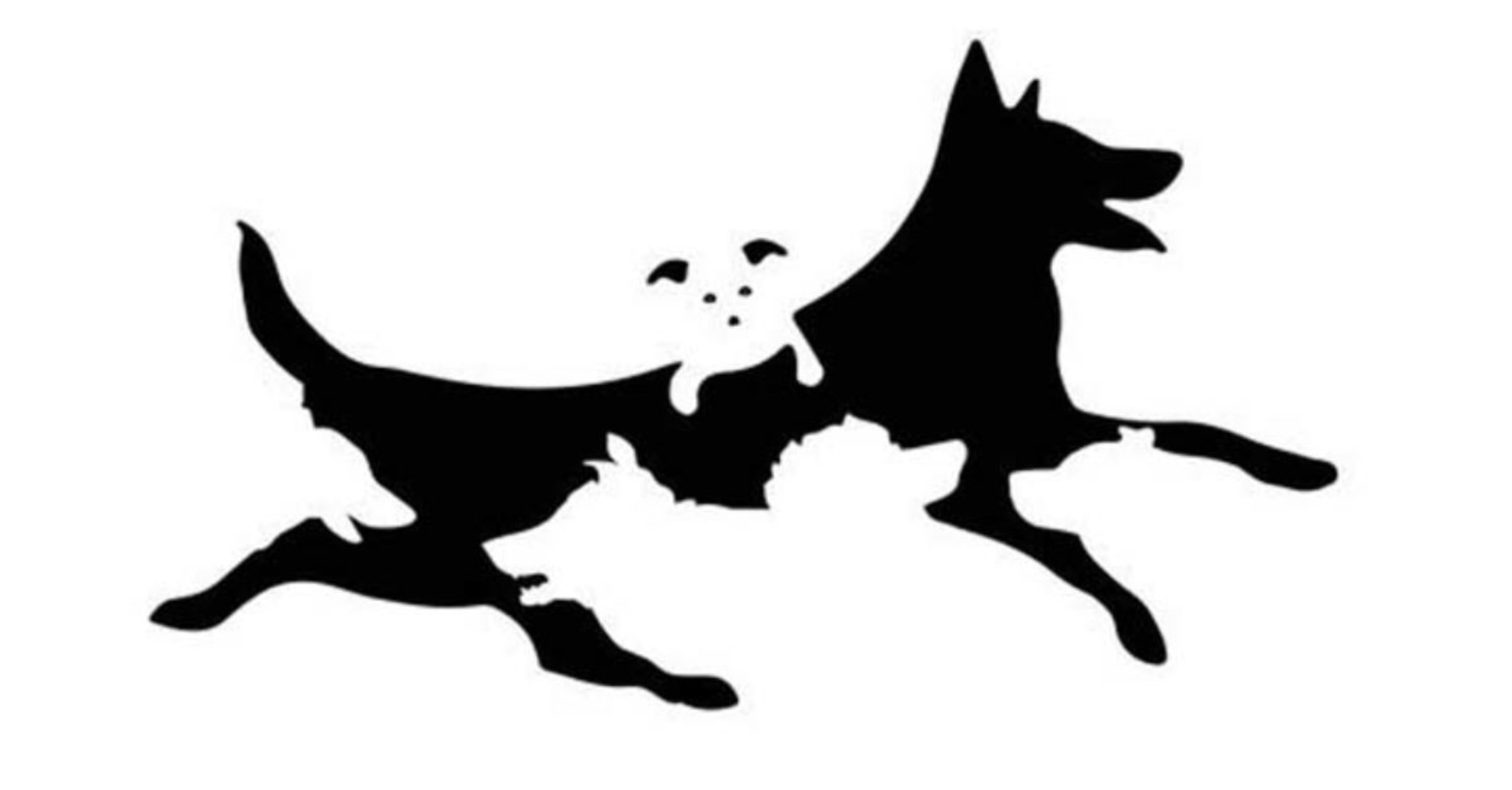 Le nombre de chiens que vous verrez sur cette image détermine votre âge mental 2 Le nombre de chiens que vous verrez sur cette image détermine votre âge mental Capture decran 2024 12 17 151139 Le nombre de chiens que vous verrez sur cette image détermine votre âge mental