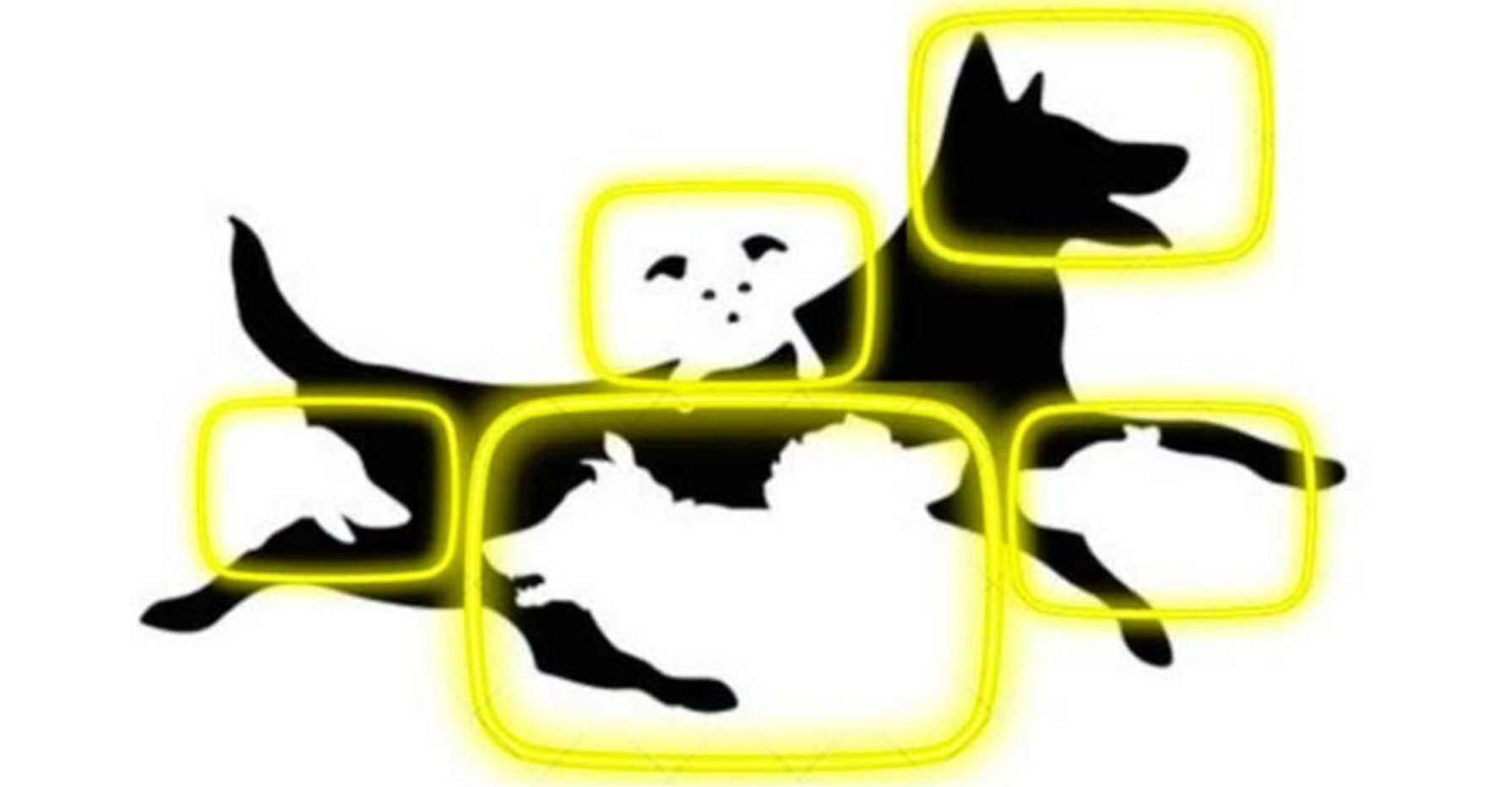 Le nombre de chiens que vous verrez sur cette image détermine votre âge mental 3 Le nombre de chiens que vous verrez sur cette image détermine votre âge mental Capture decran 2024 12 17 151149 Le nombre de chiens que vous verrez sur cette image détermine votre âge mental