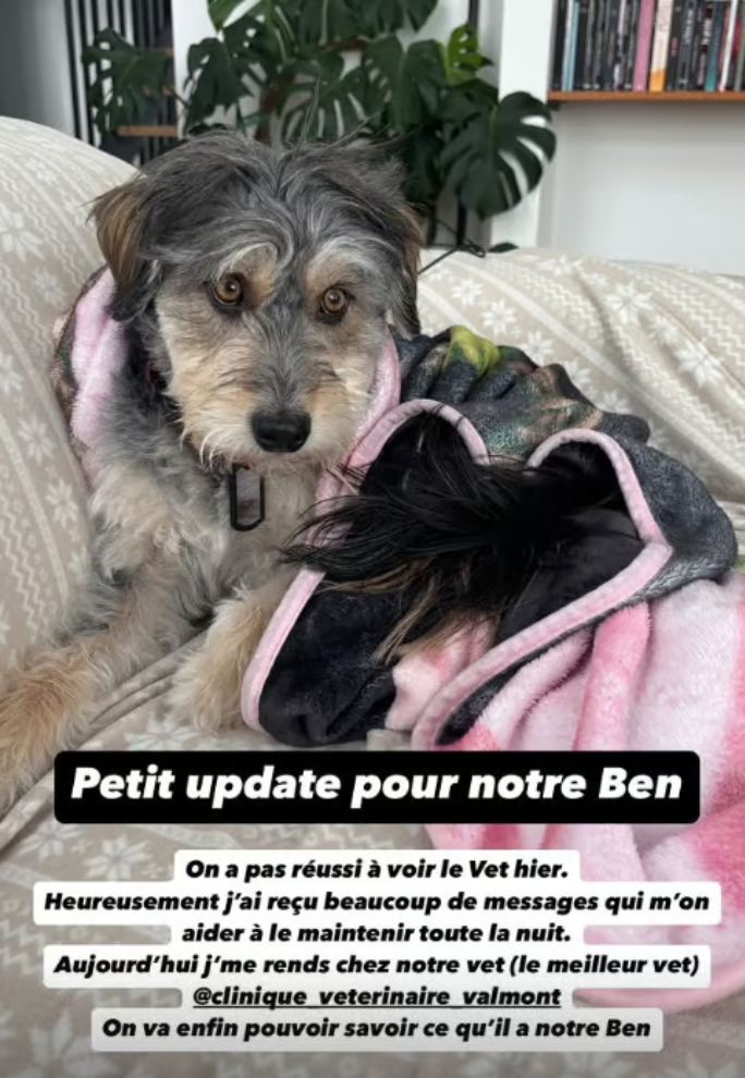 Capture decran 2024 12 26 162944 Roxane Bruneau confronte une urgence inattendue le jour de Noël