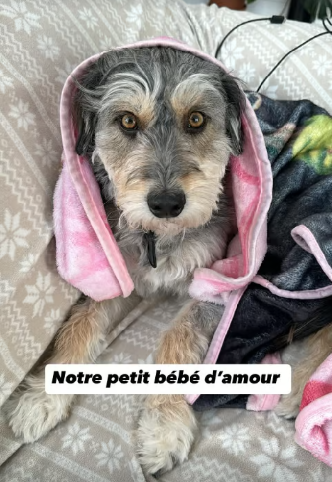 Capture decran 2024 12 26 162950 Roxane Bruneau confronte une urgence inattendue le jour de Noël