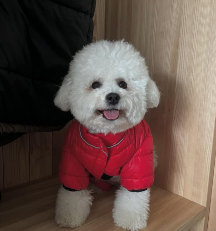 Julie Snyder annonce une mauvaise nouvelle dans sa vie 5 Julie Snyder annonce une mauvaise nouvelle dans sa vie Capture decran 2024 12 29 193432 Julie Snyder annonce une mauvaise nouvelle dans sa vie