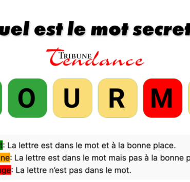 Seuls les esprits agiles résolvent ce mystère de 6 lettres en moins de 2 minutes 1 Seuls les esprits agiles résolvent ce mystère de 6 lettres en moins de 2 minutes game virale image tortue 5 Seuls les esprits agiles résolvent ce mystère de 6 lettres en moins de 2 minutes
