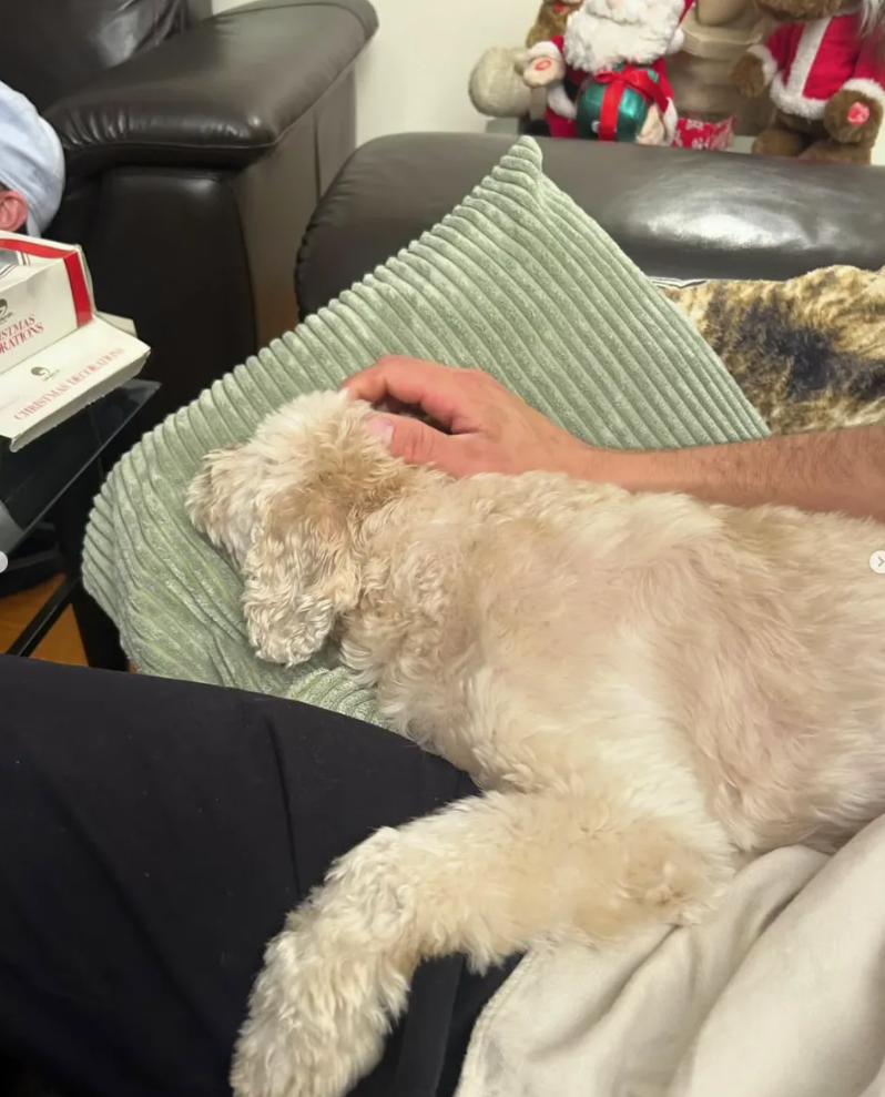 Capture decran 2025 01 03 122241 Anne-Élisabeth Bossé partage des photos attendrissantes avec son nouvel amour