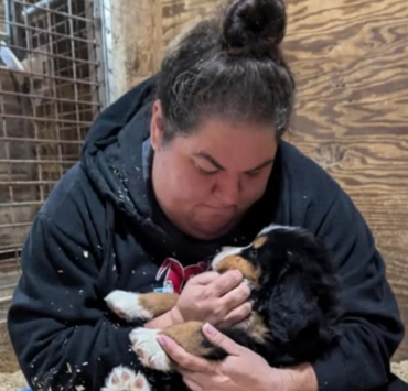 Christine Morency partage une histoire comique sur son chien à "Ça finit bien la semaine" 3 Christine Morency partage une histoire comique sur son chien à "Ça finit bien la semaine" Capture decran 2025 01 12 113624 Christine Morency partage une histoire comique sur son chien à "Ça finit bien la semaine"