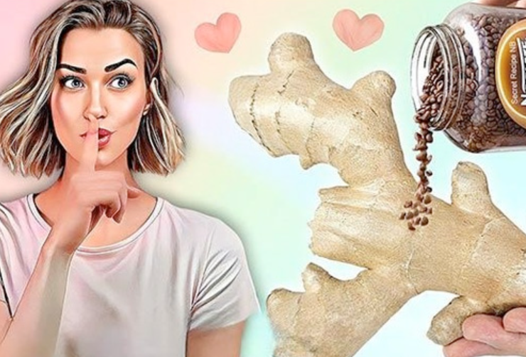 Capture decran 2025 01 23 185209 Même à 80 ans, il sait ravir sa compagne ! Gingembre et Miel (LA RECETTE)