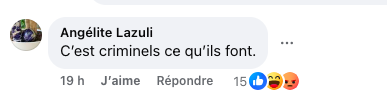 Capture decran le 2025 01 27 a 16.40.03 Beaucoup de réactions suite à l'entrevue d'Annie Hudon-Friceau à Tout le monde en parle