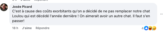 Capture decran le 2025 01 27 a 16.43.32 Beaucoup de réactions suite à l'entrevue d'Annie Hudon-Friceau à Tout le monde en parle