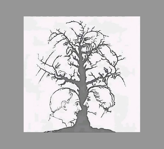 Capture decran le 2025 01 30 a 16.12.59 Combien de visages pouvez-vous trouver dans cette image?