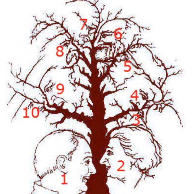 arbrereponses Combien de visages pouvez-vous trouver dans cette image?