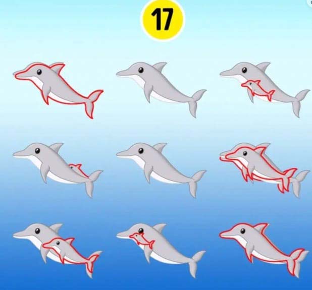 dauphinsreponse Combien de dauphins voyez-vous dans l'image?