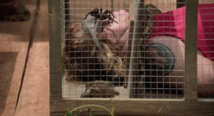 saison 1 « Sortez-moi d’ici ! » : Plongez dans les premières images captivantes de la nouvelle saison.