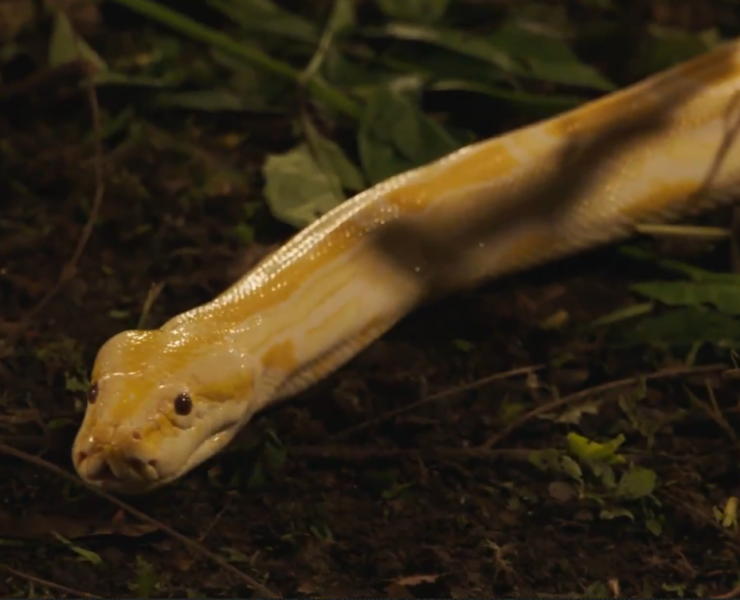 saison principal « Sortez-moi d’ici ! » : Plongez dans les premières images captivantes de la nouvelle saison.