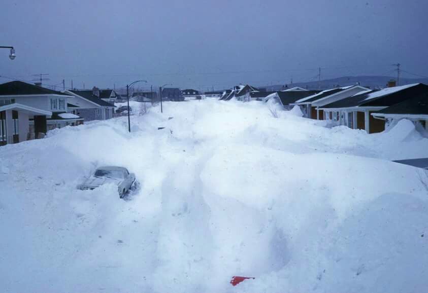 Alors que certains se plaignent des entrées bloquées, un internaute filme une technique qui fait jalouser partout au Canada! 2 Alors que certains se plaignent des entrées bloquées, un internaute filme une technique qui fait jalouser partout au Canada! 19 pinterest1 Alors que certains se plaignent des entrées bloquées, un internaute filme une technique qui fait jalouser partout au Canada!