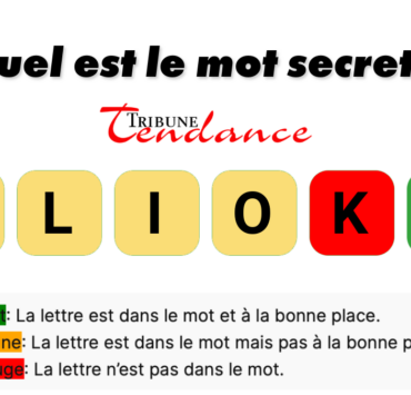 game virale image lopins 5 Déchiffrez ce mot de 6 lettres pour stimuler votre esprit!