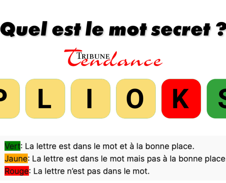 game virale image lopins 5 Déchiffrez ce mot de 6 lettres pour stimuler votre esprit!