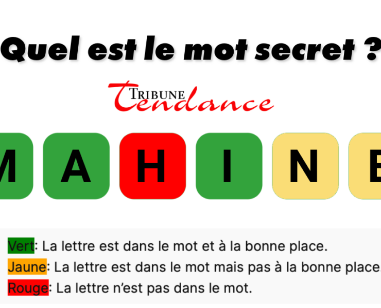 game virale image malien 1 Déchiffrez ce mot de 6 lettres pour stimuler votre esprit!
