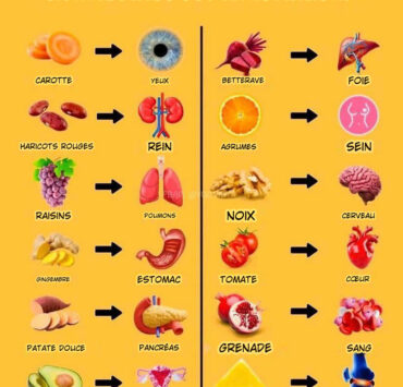 nourriture aliments Ces 12 aliments qui “sauvent” vos organes : la nature plus forte que les médicaments ?