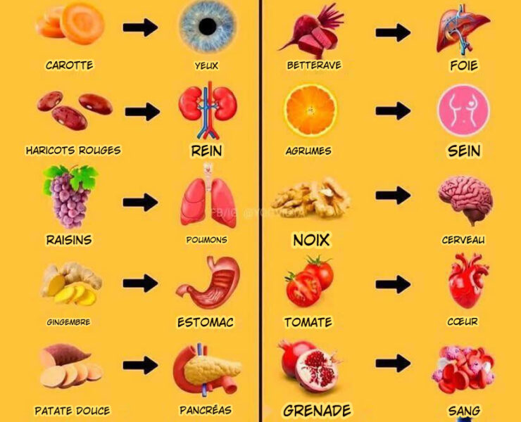 nourriture aliments Ces 12 aliments qui “sauvent” vos organes : la nature plus forte que les médicaments ?