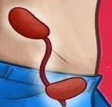 10 signes qui montrent que votre foie a besoin d’un coup de pouce 4 10 signes qui montrent que votre foie a besoin d’un coup de pouce Capture decran 2025 03 11 093550 10 signes qui montrent que votre foie a besoin d’un coup de pouce