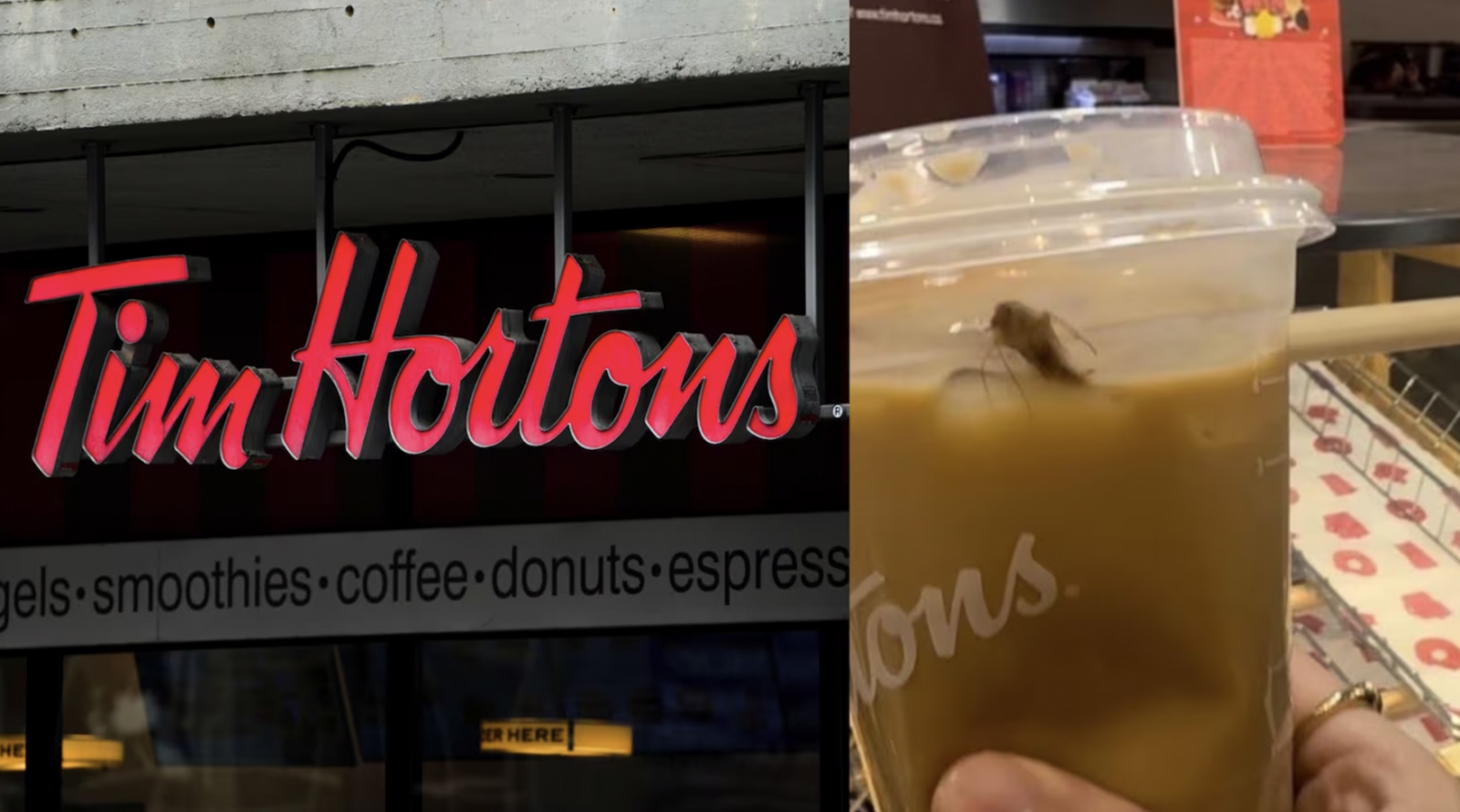Un employé de Tim Hortons révèle que des coquerelles pourraient finir dans vos cafés glacés 1 Un employé de Tim Hortons révèle que des coquerelles pourraient finir dans vos cafés glacés Capture decran 2025 03 17 150110 Un employé de Tim Hortons révèle que des coquerelles pourraient finir dans vos cafés glacés