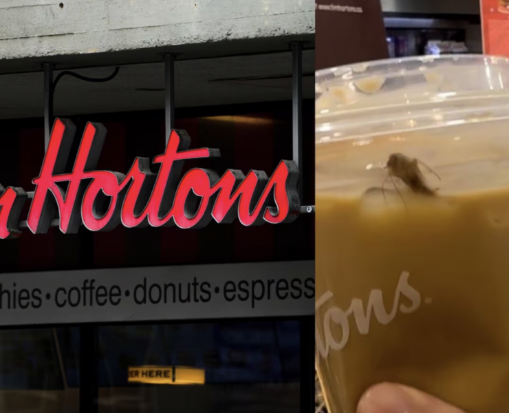 Capture decran 2025 03 17 150110 Un employé de Tim Hortons révèle que des coquerelles pourraient finir dans vos cafés glacés