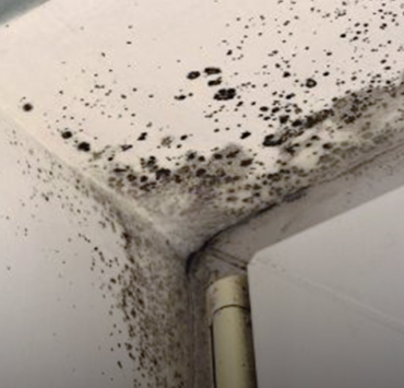 Dites adieu à l’humidité ! Ce secret allemand fait disparaître tout en un clin d’œil 3 Dites adieu à l’humidité ! Ce secret allemand fait disparaître tout en un clin d’œil Capture decran 2025 03 18 064643 e1742295111540 Dites adieu à l’humidité ! Ce secret allemand fait disparaître tout en un clin d’œil