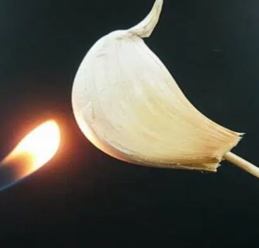 Faire brûler de l’ail chez soi : que se passe-t-il après 15 minutes ? 3 Faire brûler de l’ail chez soi : que se passe-t-il après 15 minutes ? Capture decran 2025 03 18 070955 Faire brûler de l’ail chez soi : que se passe-t-il après 15 minutes ?