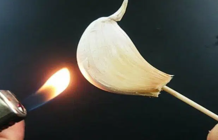 Capture decran 2025 03 18 070955 Faire brûler de l’ail chez soi : que se passe-t-il après 15 minutes ?