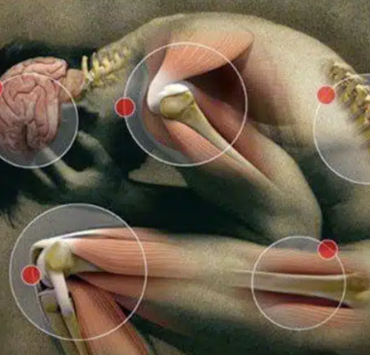 Capture decran 2025 03 19 080617 Attention : 7 aliments à éviter si vous souffrez de douleurs chroniques