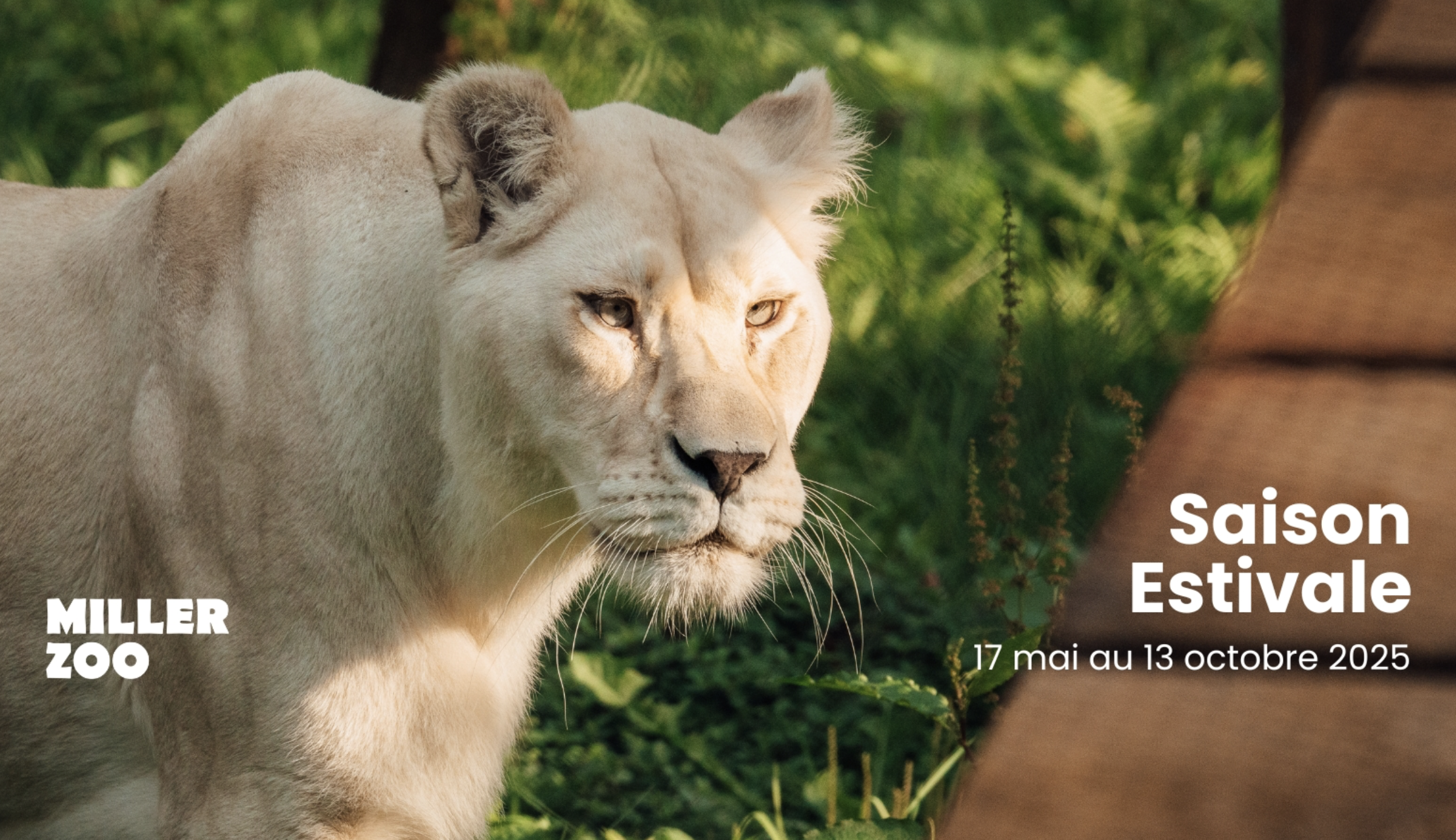 Capture decran le 2025 03 20 a 08.21.15 TVA met fin à une émission adorée du public après 7 saisons