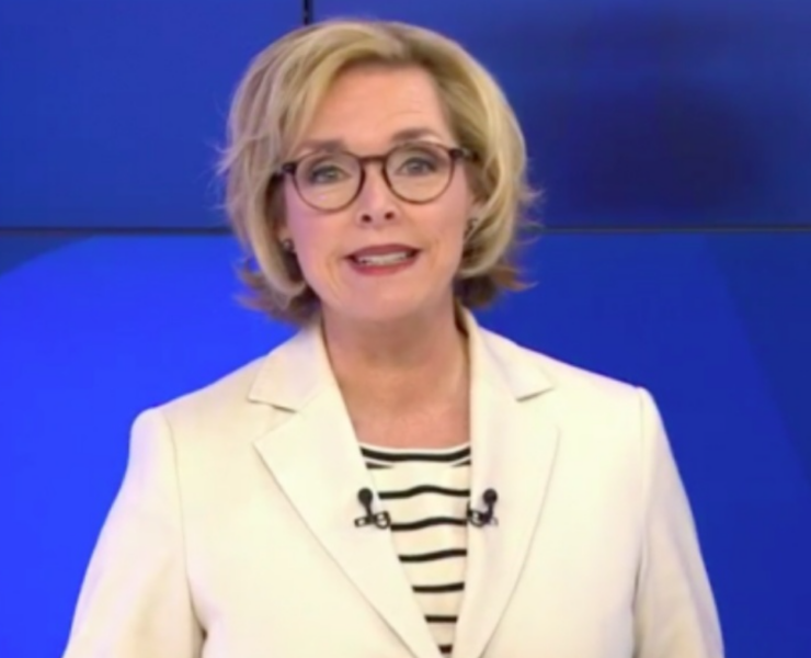 Capture decran 2025 04 06 114440 Voici la femme qui partage la vie de Sophie Thibault — et vous la connaissez bien