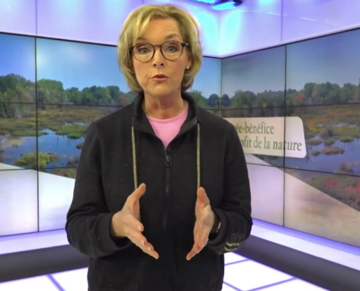 Capture decran 2025 04 08 191438 Après son passage à EDDL, Sophie Thibault dévoile son projet de retraite inspirant