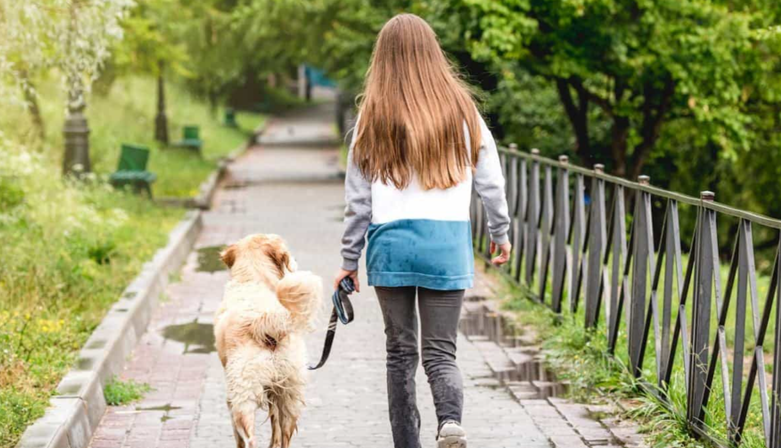 Le chien d'une fillette de 6 ans tué sous ses yeux, en pleine sortie 1 Le chien d'une fillette de 6 ans tué sous ses yeux, en pleine sortie Capture decran 2025 04 10 131203 Le chien d'une fillette de 6 ans tué sous ses yeux, en pleine sortie
