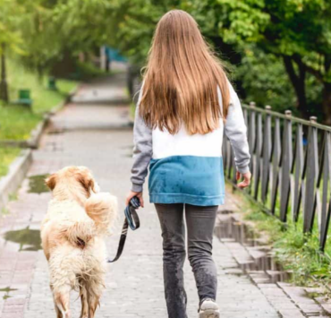 Capture decran 2025 04 10 131203 Le chien d'une fillette de 6 ans tué sous ses yeux, en pleine sortie