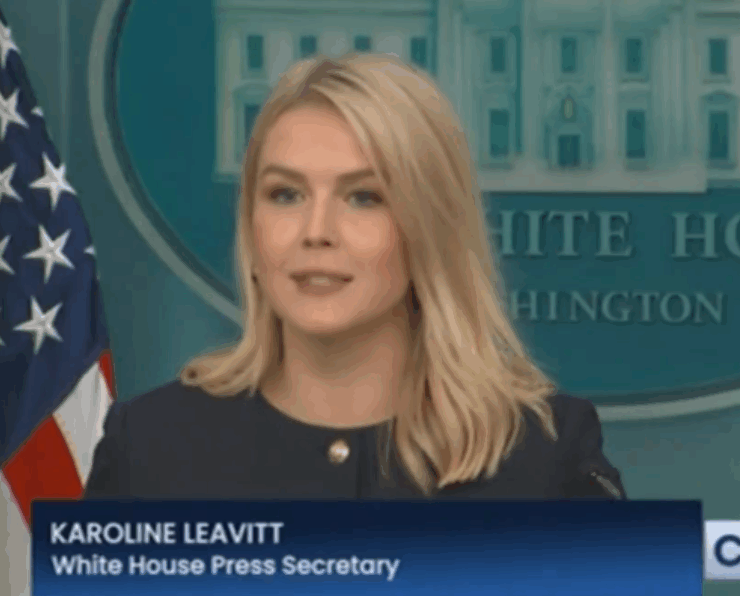 Capture decran 2025 04 23 124529 Malaise en direct : Karoline Leavitt perd le contrôle face à un invité controversé