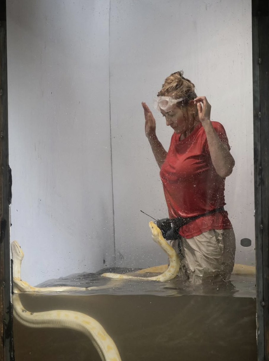 Capture decran le 2025 04 28 a 08.04.20 Clodine Desrochers n’est plus célibataire : voici qui fait battre son cœur