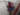 Capture decran le 2025 04 29 a 08.55.35 La LNH se prononce sur le coup de Tom Wilson contre Alexandre Carrier !