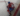 Capture decran le 2025 04 29 a 08.55.35 La LNH se prononce sur le coup de Tom Wilson contre Alexandre Carrier !