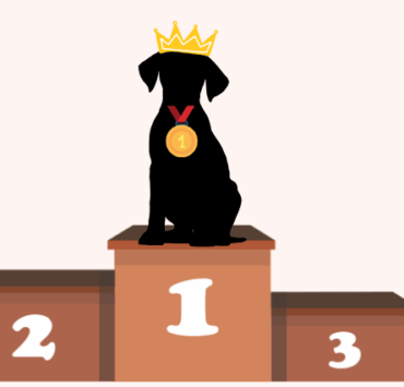 Quelle est LA race de chien la plus mignonne ? Découvrez notre top 10 ! 3 Quelle est LA race de chien la plus mignonne ? Découvrez notre top 10 ! Design sans titre 26 Quelle est LA race de chien la plus mignonne ? Découvrez notre top 10 !